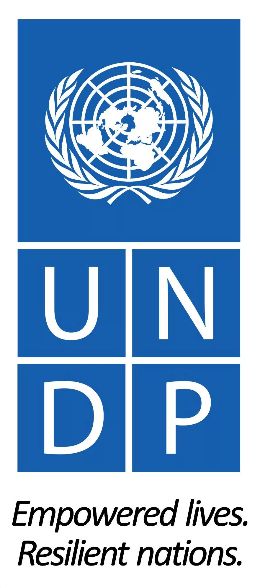 undp